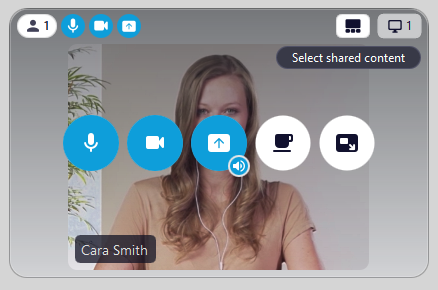 Screenshot of The mini window with all functions
