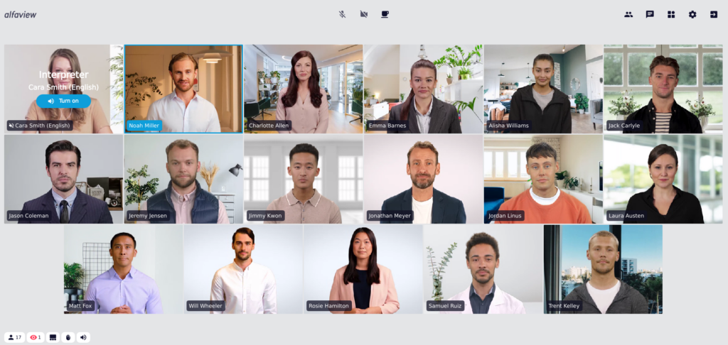 Screenshot of the alfaview app, a blue 'Turn on' button is displayed as a layover over the interpreter's video.