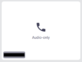 Screenshot of a participant who joined via phone dial-in