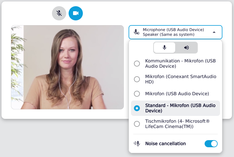 screenshot of the audio selection menu
